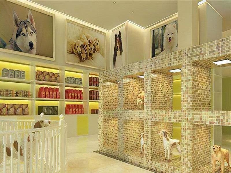 店面装修公司:宠物店该如何装修